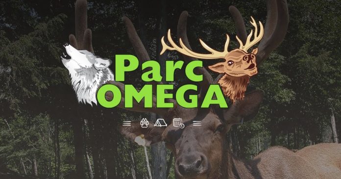 Profitez de rabais au Parc Omega pour l'année 2021