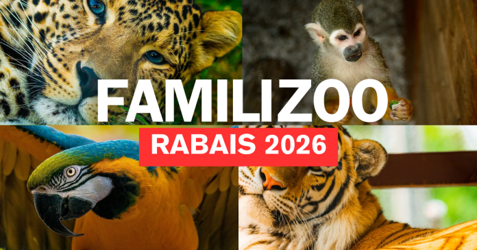 Rabais2026-Familizoo-QuebecaRabais Rabais au Familizoo pour l'été 2026